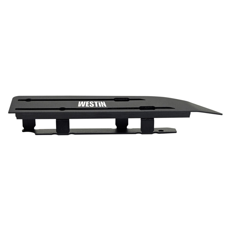 Photo - Close Up